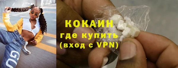 молекула духа Медвежьегорск