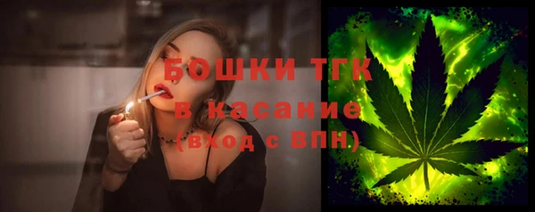 молекула духа Медвежьегорск