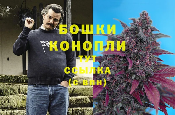 спайс Медногорск