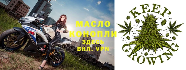 молекула духа Медвежьегорск