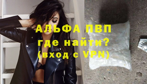молекула духа Медвежьегорск