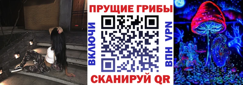 Псилоцибиновые грибы Psilocybe Яблоновский