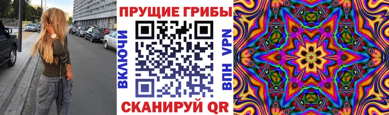 как найти закладки  Яблоновский  Галлюциногенные грибы MAGIC MUSHROOMS 